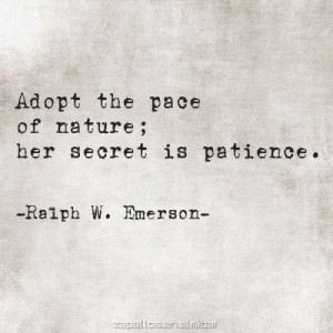 b3c3d0086bfd7e3b7fe0db85054e37e1--fairytale-fashion-mountain-quotes