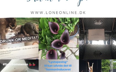 UgenpåInsta2017: Uge 23